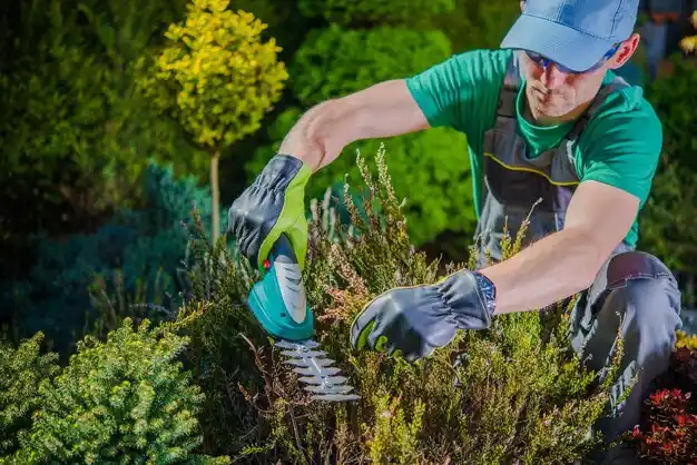 landscaping services Eggertsville